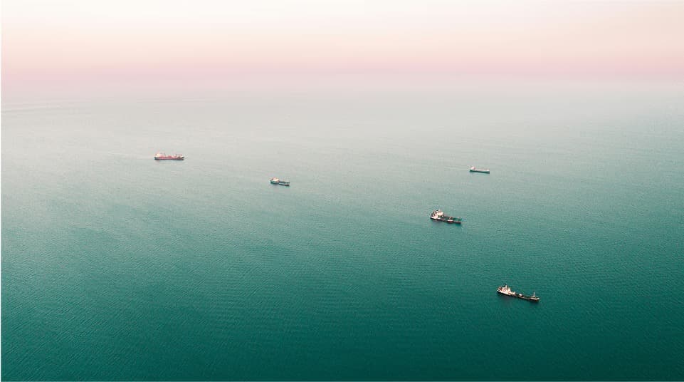 Shipnexas logistics operations - professional team handling shipments